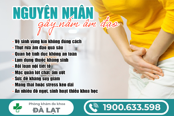 Hình ảnh minh họa